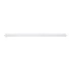 Noxion LED Waterproof Batten Ecowhite V2.0 36W 3600lm - 840 Cool White | 150cm - Through Wiring (3x1.5mm2) 